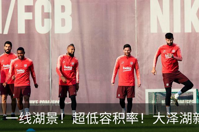 一线湖景！超低容积率！大泽湖新盘曝光！