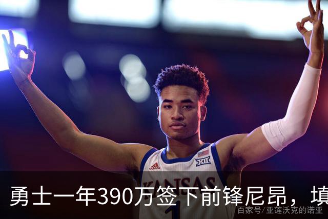 勇士一年390万签下前锋尼昂，填补大名单最后一席